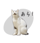 ぐら暮らし そのさん（個別スタンプ：1）