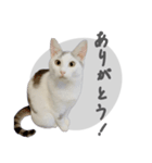 ぐら暮らし そのさん（個別スタンプ：2）