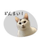ぐら暮らし そのさん（個別スタンプ：14）