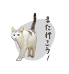 ぐら暮らし そのさん（個別スタンプ：15）