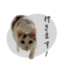 ぐら暮らし そのさん（個別スタンプ：18）