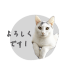 ぐら暮らし そのさん（個別スタンプ：25）