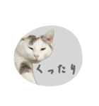 ぐら暮らし そのさん（個別スタンプ：35）