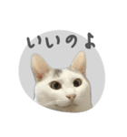 ぐら暮らし そのさん（個別スタンプ：38）