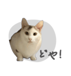 ぐら暮らし そのさん（個別スタンプ：39）