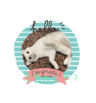 white cat♡ MILK☺︎（個別スタンプ：1）