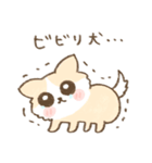 モフモフわんこのスタンプ（個別スタンプ：24）