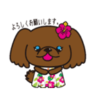 ペキニーズ in summer（個別スタンプ：3）