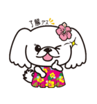 ペキニーズ in summer（個別スタンプ：4）