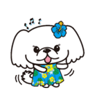 ペキニーズ in summer（個別スタンプ：10）
