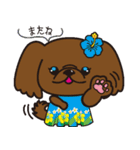 ペキニーズ in summer（個別スタンプ：12）
