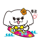 ペキニーズ in summer（個別スタンプ：13）