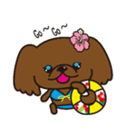 ペキニーズ in summer（個別スタンプ：15）