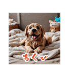おもしろ変顔スタンプ大全（個別スタンプ：7）