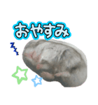 ハムスターのさくら君（個別スタンプ：7）
