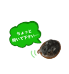 ハムスターのさくら君（個別スタンプ：10）