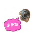 ハムスターのさくら君（個別スタンプ：16）