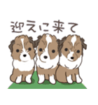 家族連絡仔犬のだんごあられみぞれ（個別スタンプ：6）