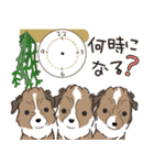 家族連絡仔犬のだんごあられみぞれ（個別スタンプ：9）