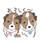 家族連絡仔犬のだんごあられみぞれ（個別スタンプ：15）