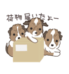 家族連絡仔犬のだんごあられみぞれ（個別スタンプ：33）