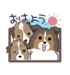 家族連絡仔犬のだんごあられみぞれ（個別スタンプ：35）