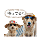 タフィの日常使えるスタンプ（個別スタンプ：4）