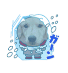 タフィの日常使えるスタンプ（個別スタンプ：12）