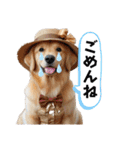 タフィの日常使えるスタンプ（個別スタンプ：26）