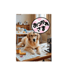 タフィの日常使えるスタンプ（個別スタンプ：29）