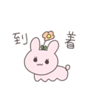 友達うさぴこ（個別スタンプ：11）