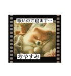 ポメラニアンの日常会話集（個別スタンプ：3）