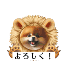 ポメラニアンの日常会話集（個別スタンプ：8）