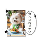 ポメラニアンの日常会話集（個別スタンプ：16）