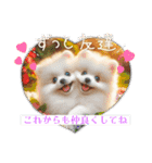 ポメラニアンの日常会話集（個別スタンプ：19）