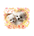 ポメラニアンの日常会話集（個別スタンプ：21）