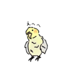 ブルテリアとちょっとオカメインコ（個別スタンプ：22）
