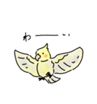 ブルテリアとちょっとオカメインコ（個別スタンプ：29）