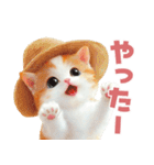 ふわふわ茶トラねこスタンプ（個別スタンプ：11）