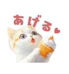 ふわふわ茶トラねこスタンプ（個別スタンプ：33）