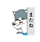 灰色猫のあまやどり（個別スタンプ：13）