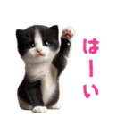 【猫】リアクション（個別スタンプ：1）
