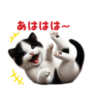 【猫】リアクション（個別スタンプ：6）