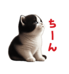 【猫】リアクション（個別スタンプ：9）