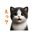 【猫】リアクション（個別スタンプ：11）