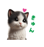【猫】リアクション（個別スタンプ：13）