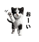 【猫】リアクション（個別スタンプ：16）