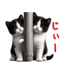 【猫】リアクション（個別スタンプ：17）