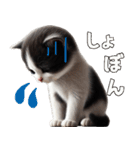 【猫】リアクション（個別スタンプ：19）