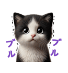 【猫】リアクション（個別スタンプ：25）